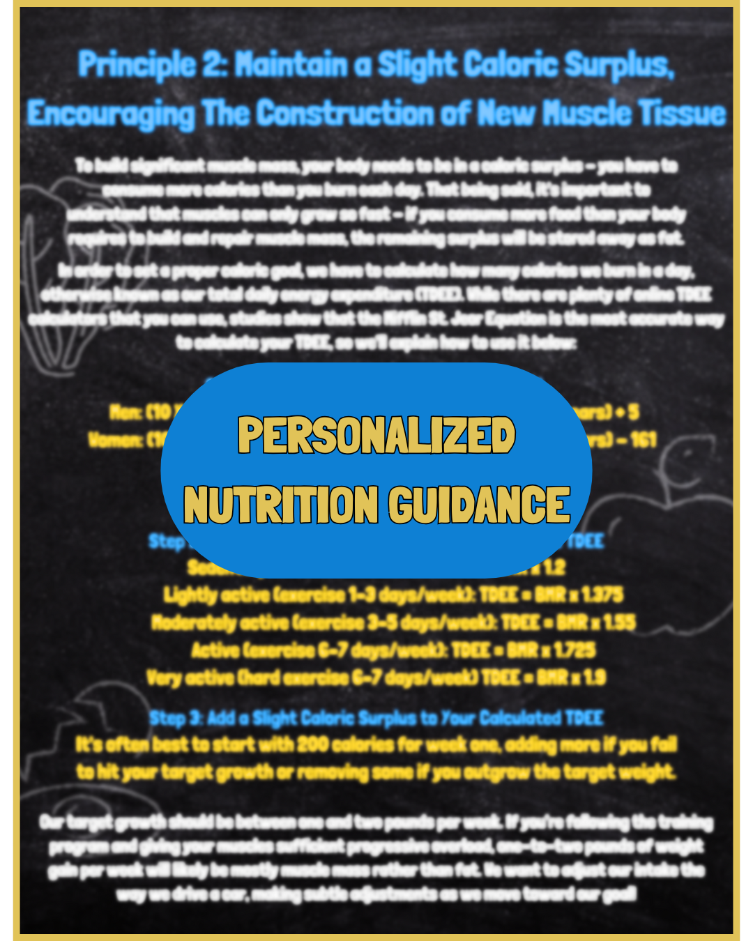 THE FITNESS 101 MUSCLE BUILDING MANUAL