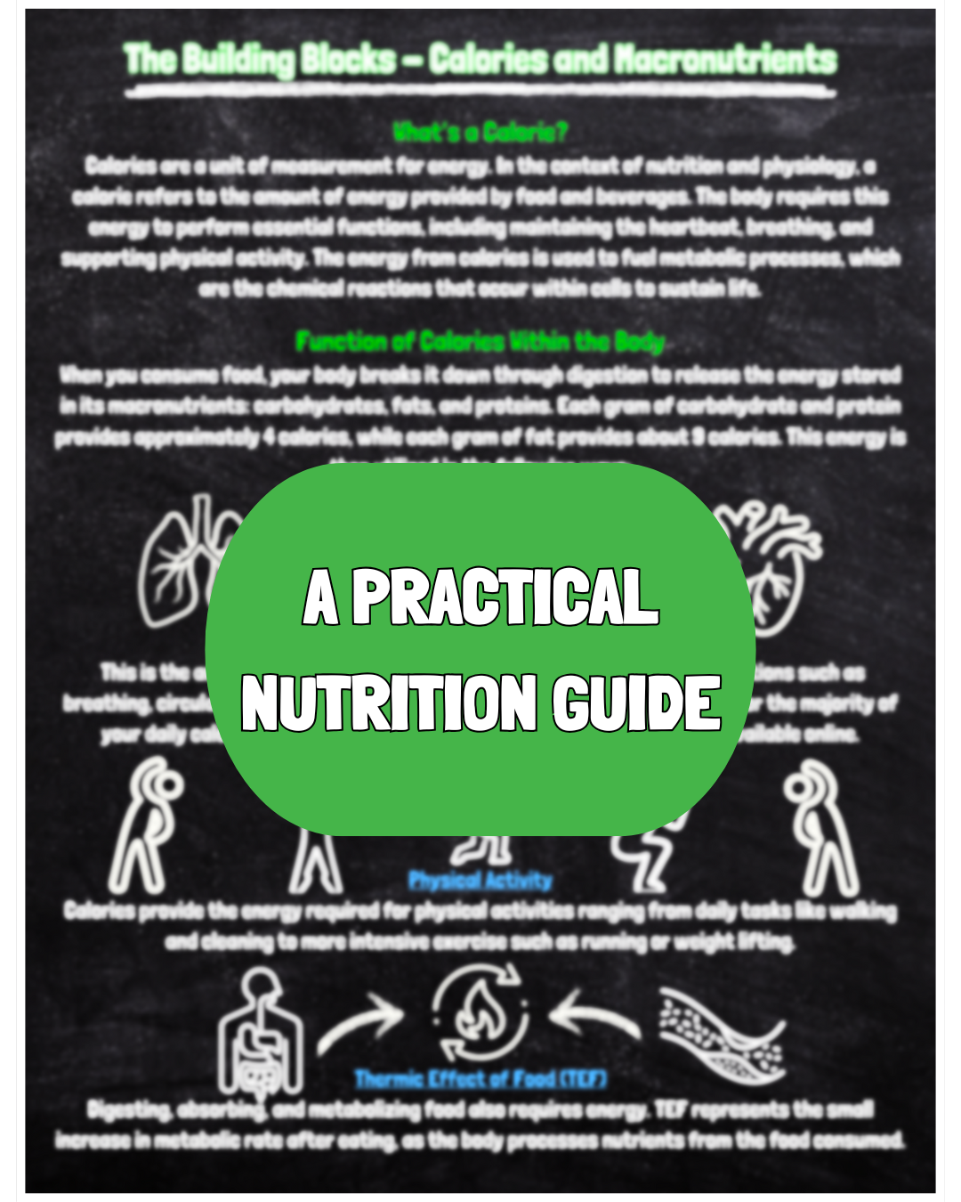 THE FITNESS 101 HEALTHY GROCER'S HANDBOOK