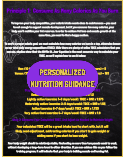 THE FITNESS 101 HYBRID TRAINING HANDBOOK