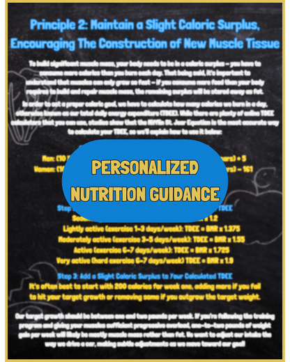 THE FITNESS 101 MUSCLE BUILDING MANUAL
